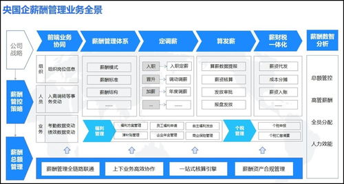 奮戰930 中央企業沖刺薪酬管理系統建設，以“三全”目標引領市場新篇章